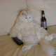 Illustration for article titled Sunday Lazy Sunday